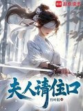 夫人请住手