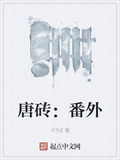 唐砖：番外